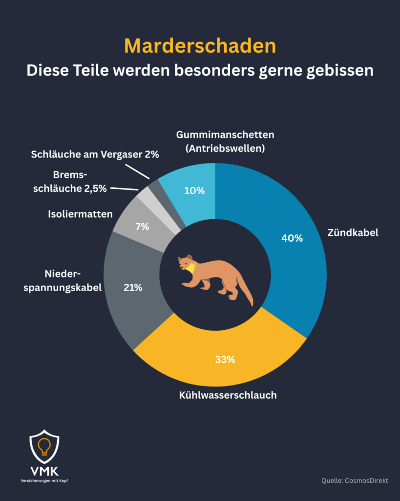 marderschaden-kfz-versicherung-beschaedigte-teile