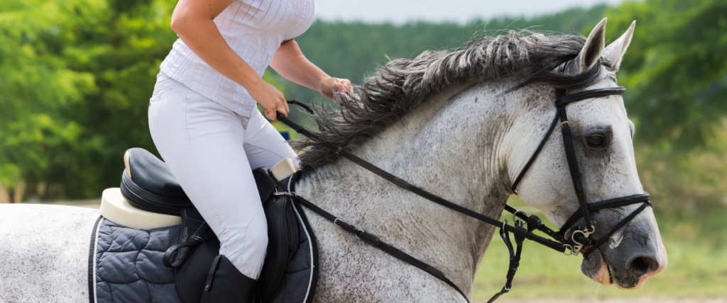 berufsunfähigkeitsversicherung-reiten-1200x501